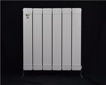 PG娱乐新式铜铝复合双水道散热器114×60